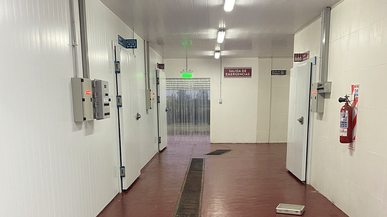 secaderos-industriales_0007_Capa-2